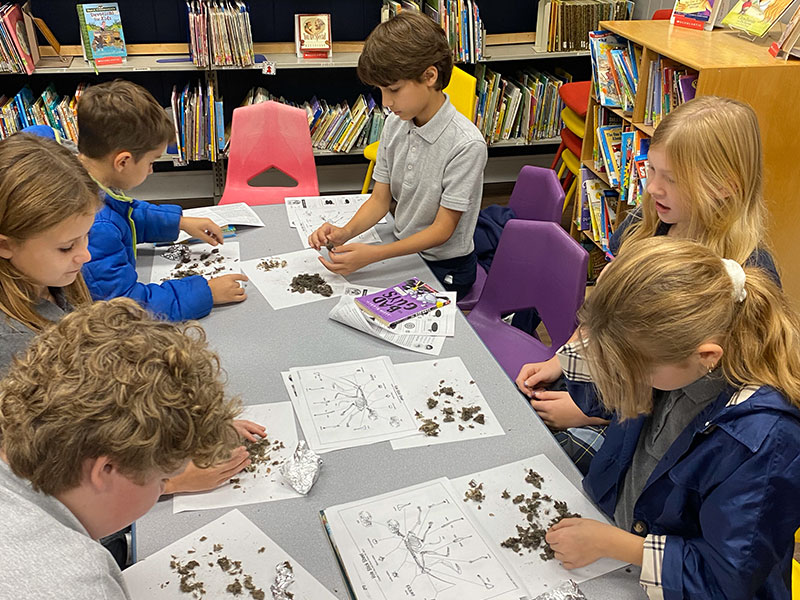 4H Christ Classical Academy