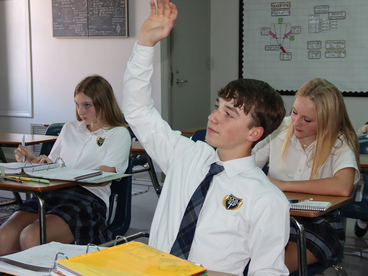 Logic Stage: Growing in Understanding in the Middle School Years